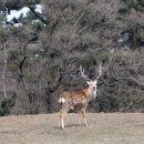 이야기,꽃 이미지