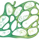 Tree of im 이미지