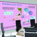 영스크린환경 네이버블로그