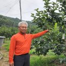 배감농장 이미지