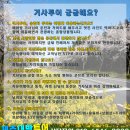 제주대박투어