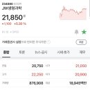 엘비제이