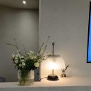 브이엔성형외과의원 이미지