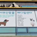 서부산동물메디컬센터 이미지