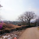 신계리/상신 이미지