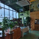 당촌리카메 이미지