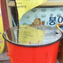 붕어빵닷컴