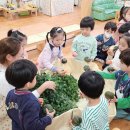 화성 영천유치원 경기일보
