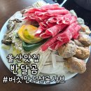 후만두 | 울산 웅촌 맛집 반달곰 버섯만두전골샤브 버섯샤브전골 내돈내산 솔직후기