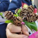 김포서초병설유치원 이미지