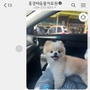 홍경태동물병원 이미지