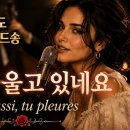 샹송으로 듣는 우리 가요 ㅡ Toi aussi, tu pleures / 당신도 울고 있네요 이미지