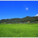 신답리 고분 화장실 이미지