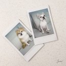 가족과 함께하는 향기 스튜디오 A반 | 대전만삭촬영 만삭스냅을 아늑한 우리집에서. 대전홈스냅