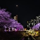 풍덕천2동 행정복지센터 이미지