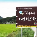 석송농장 이미지