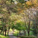 샘들어린이공원 이미지