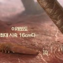 그비누앤공방