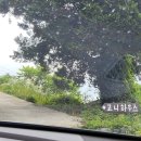 고니하우스 이미지