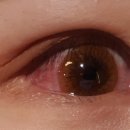 이상약국 이미지