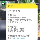 크린토피아신창 이미지
