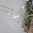 샘골 낚시터 이미지