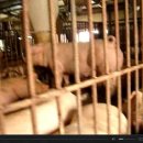 다윗농장 이미지