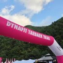 태백방앗간 | 첫 트레일러닝 도전기 | 2025 다이나핏 태백 트레일 후기와 완주 팁
