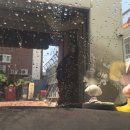 동림자동차 이미지