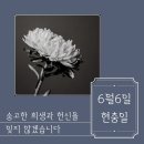 려에스테틱