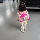 캐치홀릭 이미지