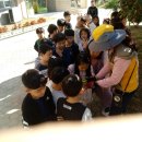 화정초등학교 이미지