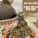패러그린샵 동래점 이미지