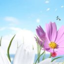 에덴산업(주) 이미지