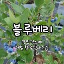 직산농장 이미지