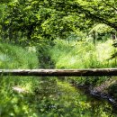 경주산림환경연구원 이미지