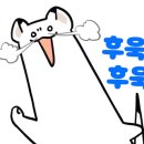 크로스핏간지 이미지