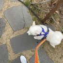 늘푸른종합동물병원 이미지