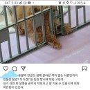개맑음