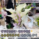 웨딩촬영 필수 준비물 ㅣ 부산 자유도매 꽃시장 가성비 생화부케 봄봄플라워 후기