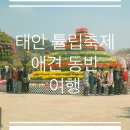 태안 애견 동반) 4월 여행 봄 축제 태안튤립축제 25년 4월 20일 기준 게국지 애견 동반 식당