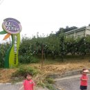 양수농원 이미지