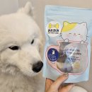 여시까까 이미지