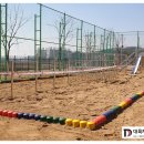 청주소로초등학교 이미지