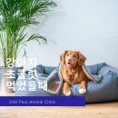 초콜릿종합동물병원 이미지