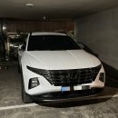 투싼하이브리드 NX4 출고 후기(옵션 리뷰, 결함, 실내 등)