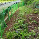 태산태양광발전소 이미지