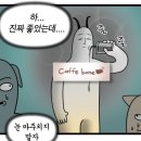 240929 드라이 플라워