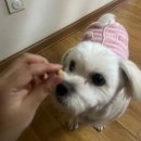 길쭉납짝 이미지