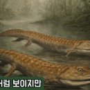 신복원 이미지